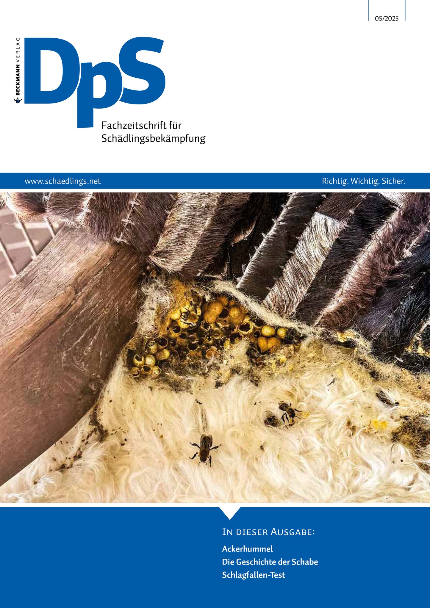 DpS Ausgabe Mai 2025