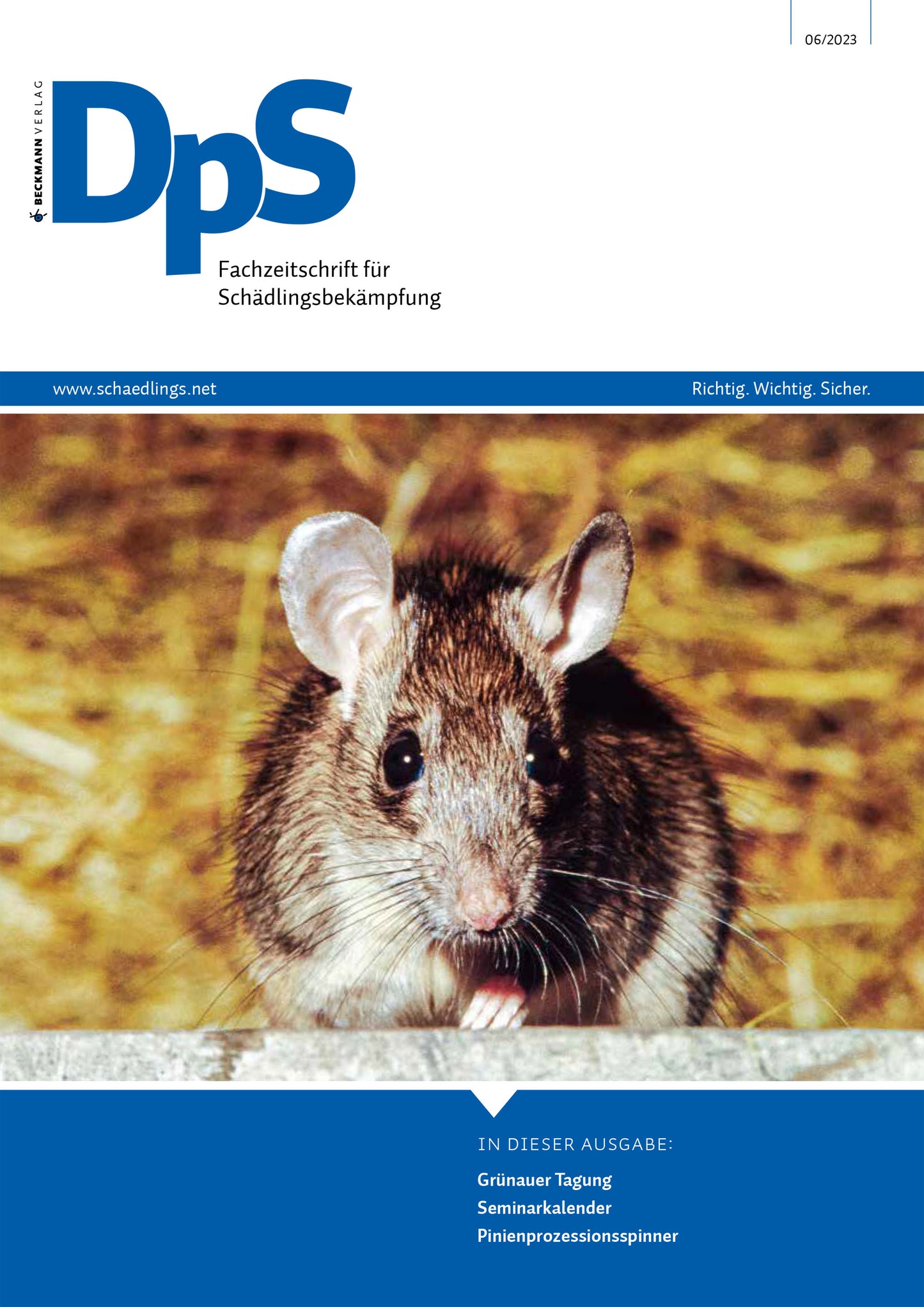 DpS Ausgabe Juni 2023