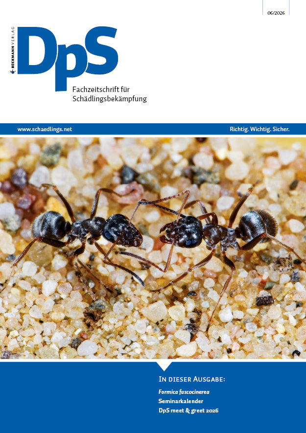 DpS Ausgabe Juni 2026