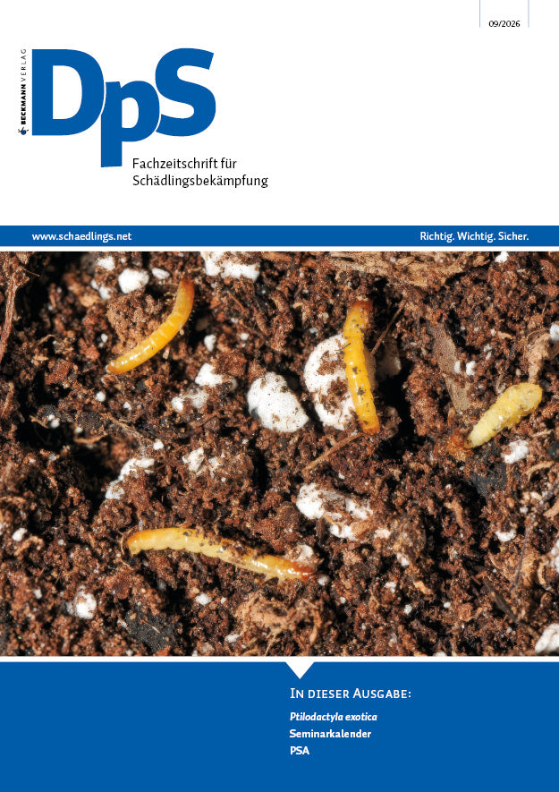 DpS Ausgabe September 2026