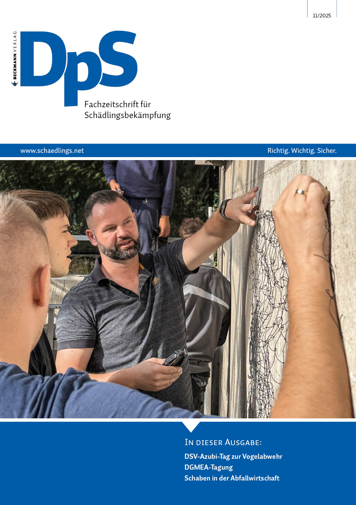 DpS Ausgabe November 2025