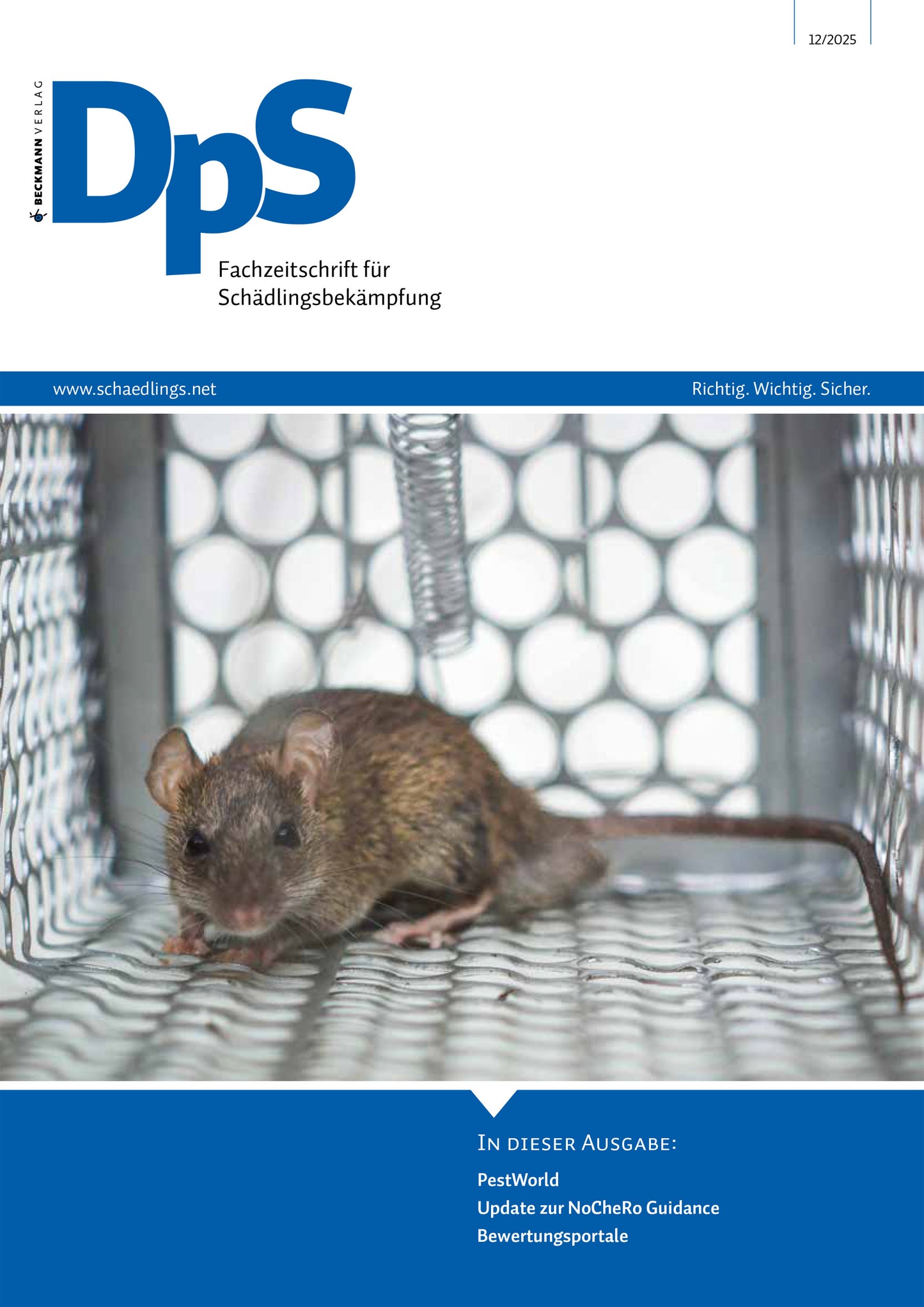 DpS Ausgabe Januar 2026