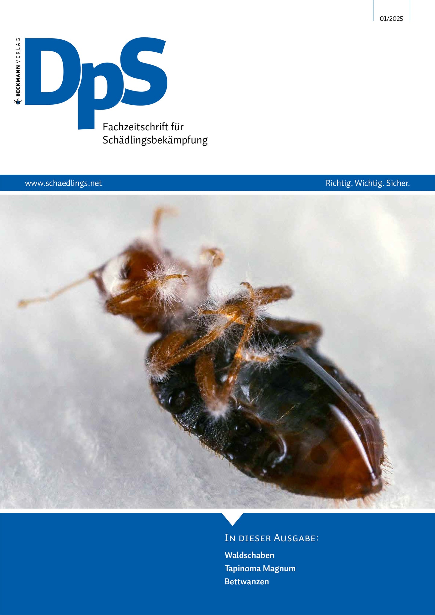 DpS Ausgabe Januar 2025