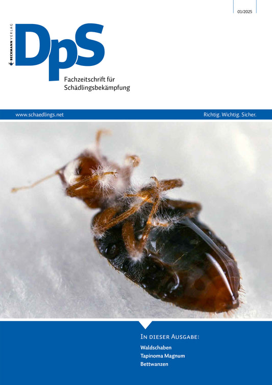 DpS Ausgabe Januar 2025
