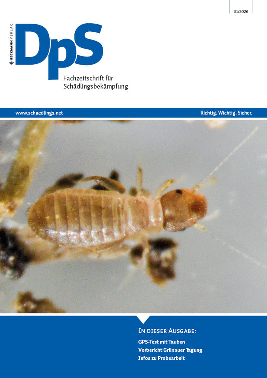 DpS Ausgabe Januar 2026