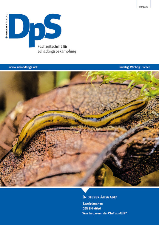 DpS Ausgabe Februar 2026