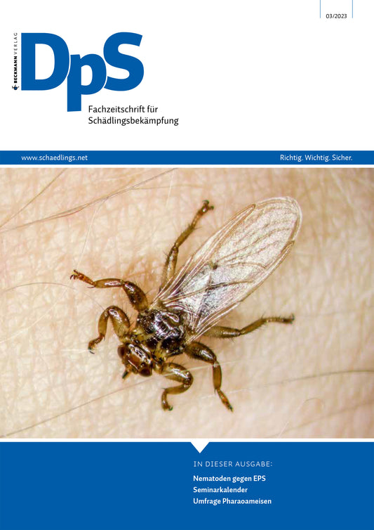 DpS Ausgabe März 2023