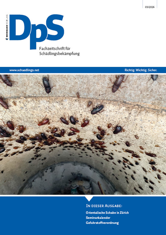 DpS Ausgabe März 2026