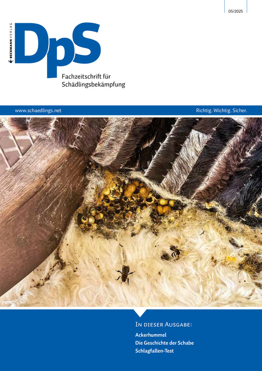 DpS Ausgabe Mai 2025