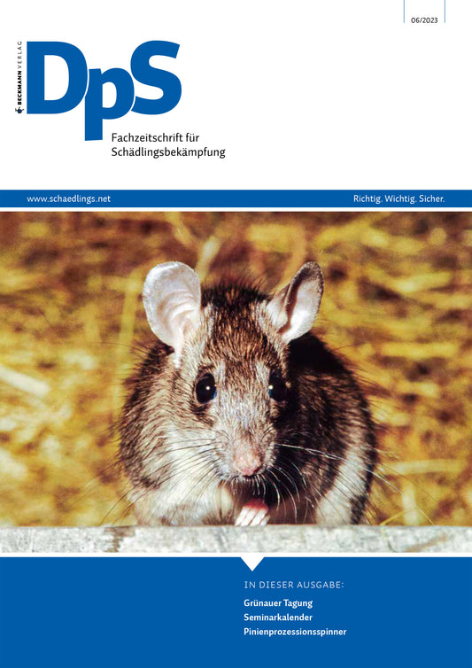 DpS Ausgabe Juni 2023