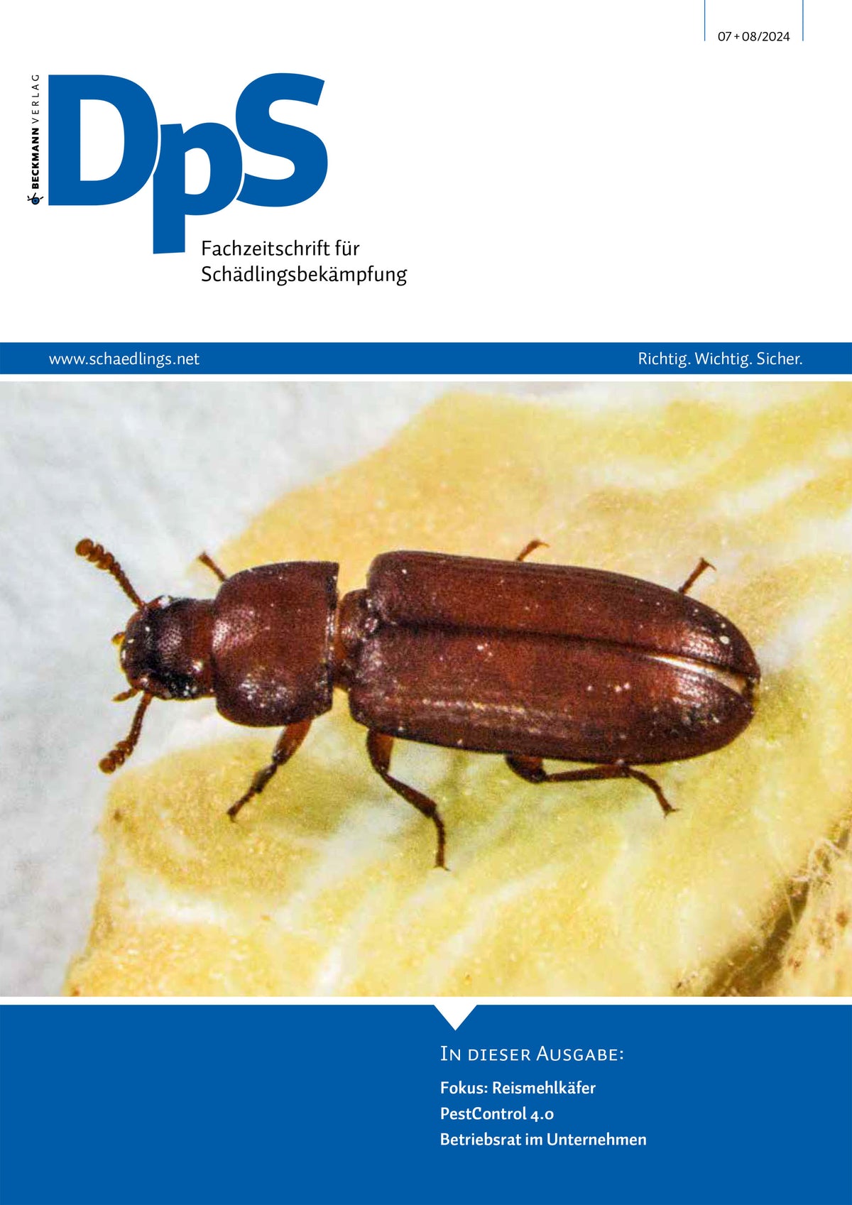 DpS Ausgabe Juli / August 2024