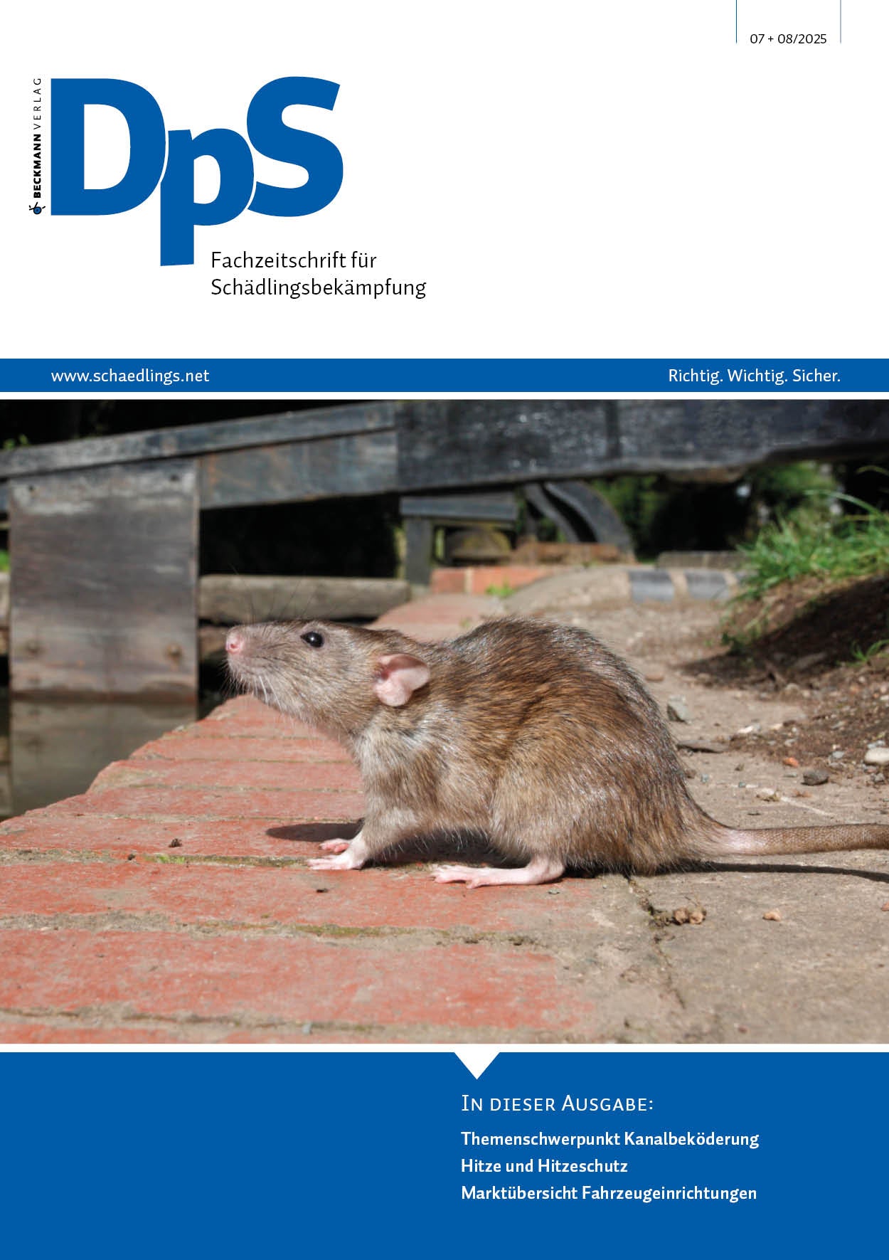 DpS Ausgabe Juli / August 2025