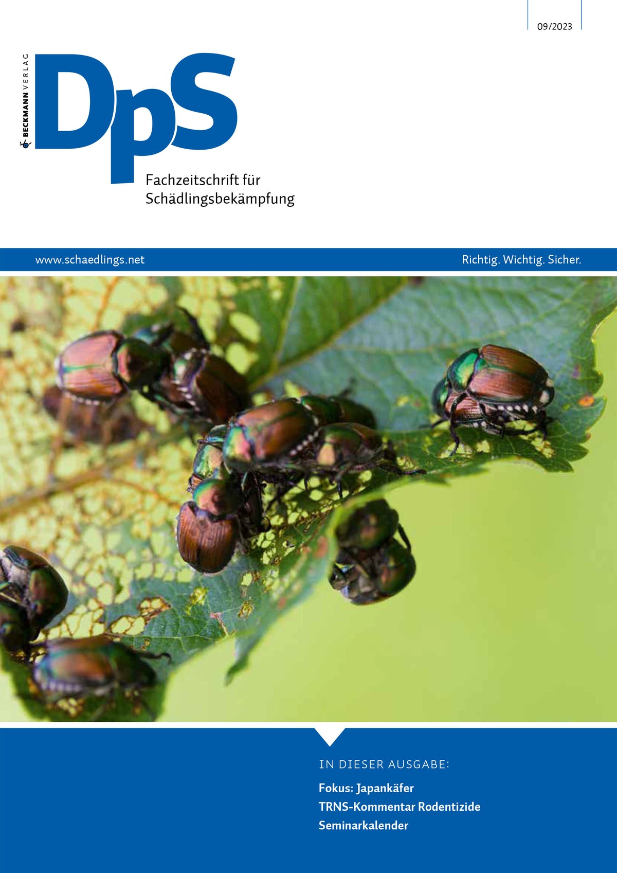 DpS Ausgabe September 2023