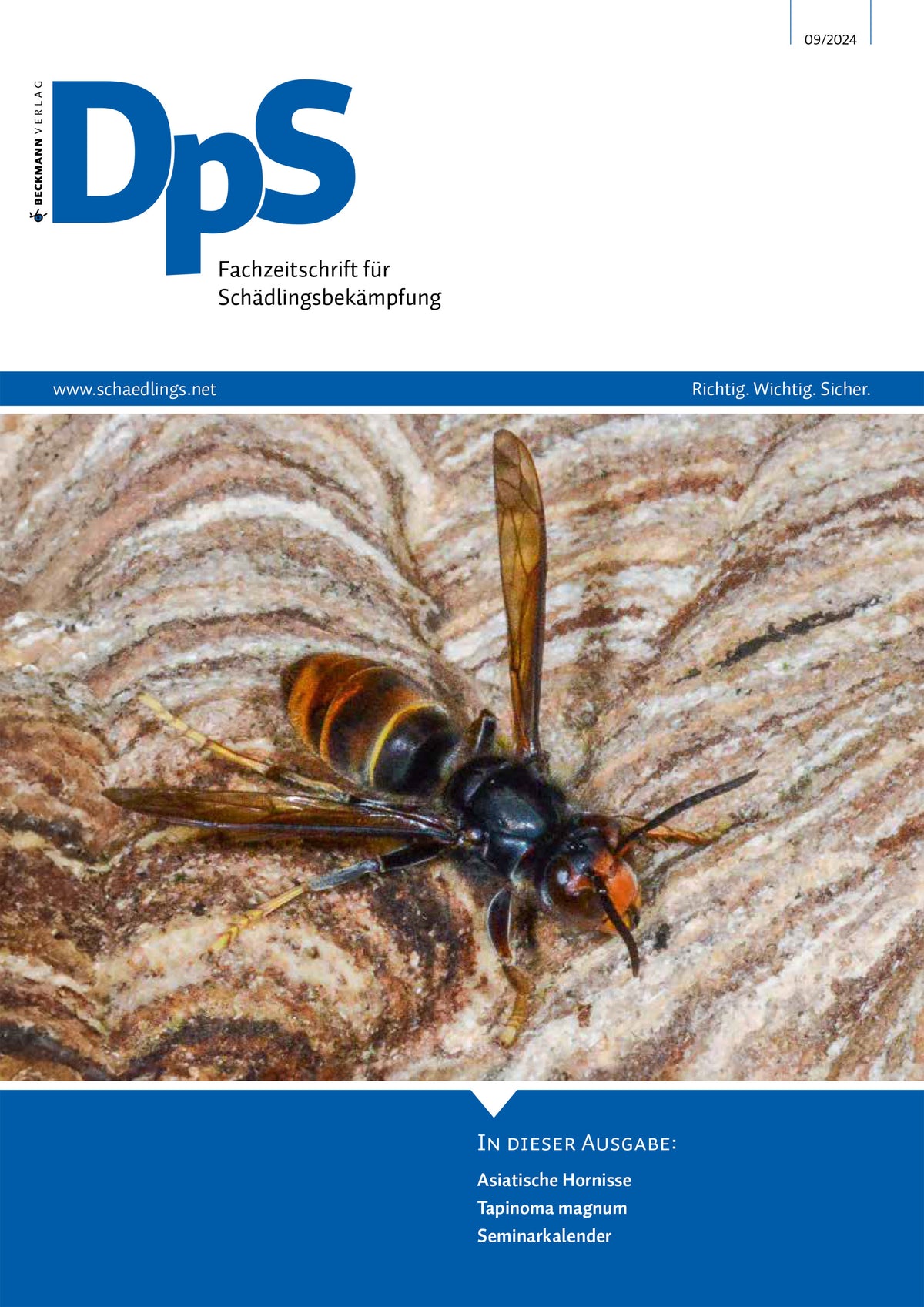 DpS Ausgabe September 2024