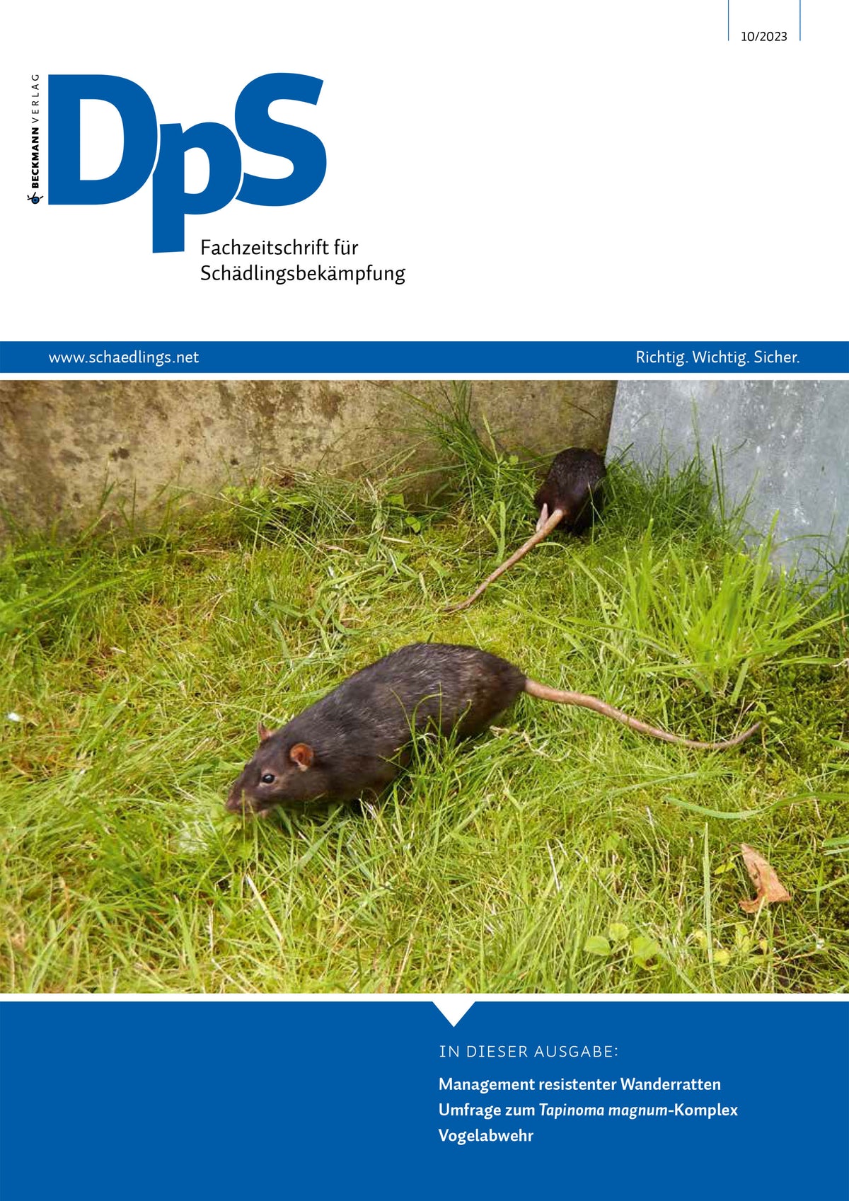 DpS Ausgabe Oktober 2023