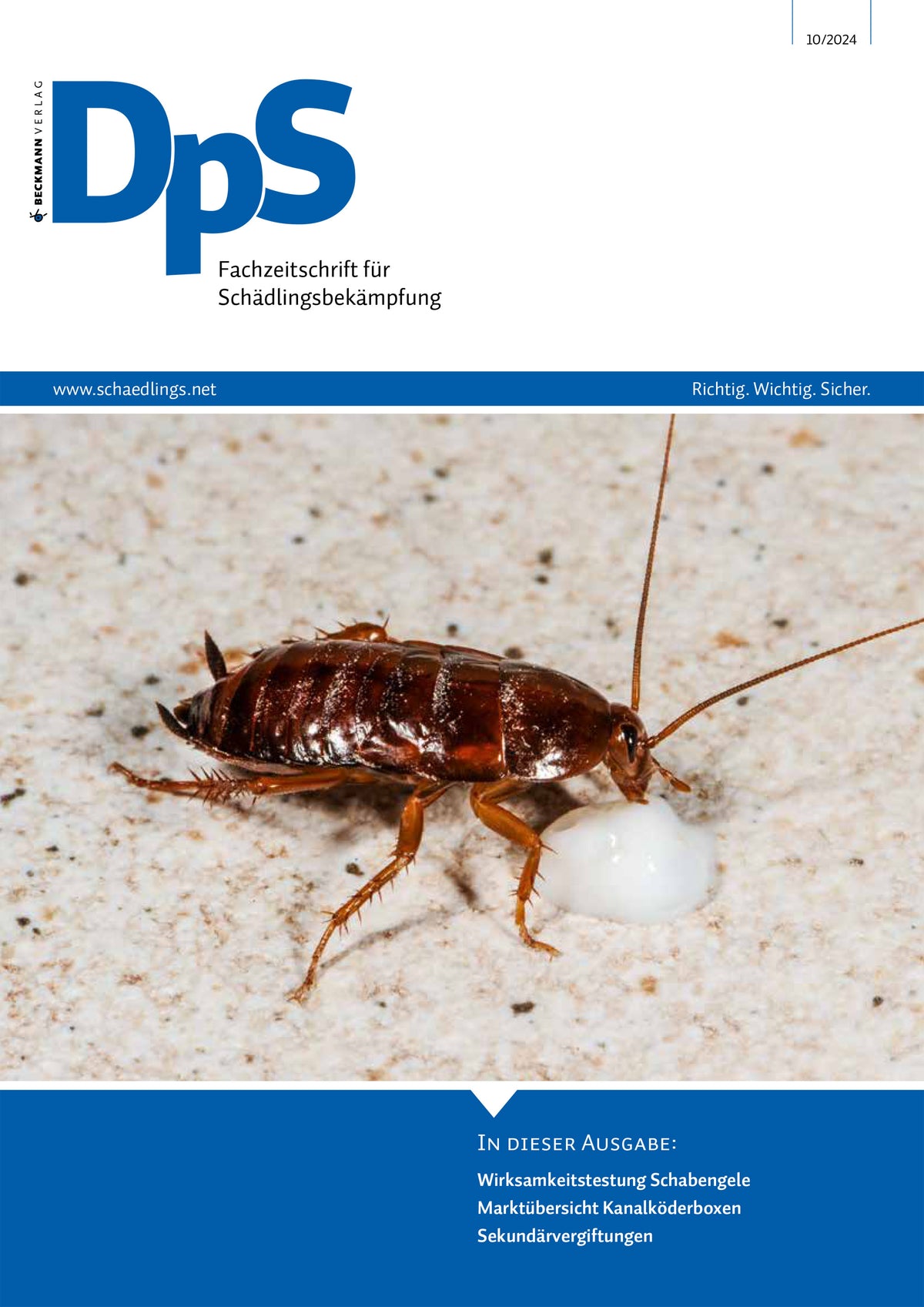 DpS Ausgabe Oktober 2024