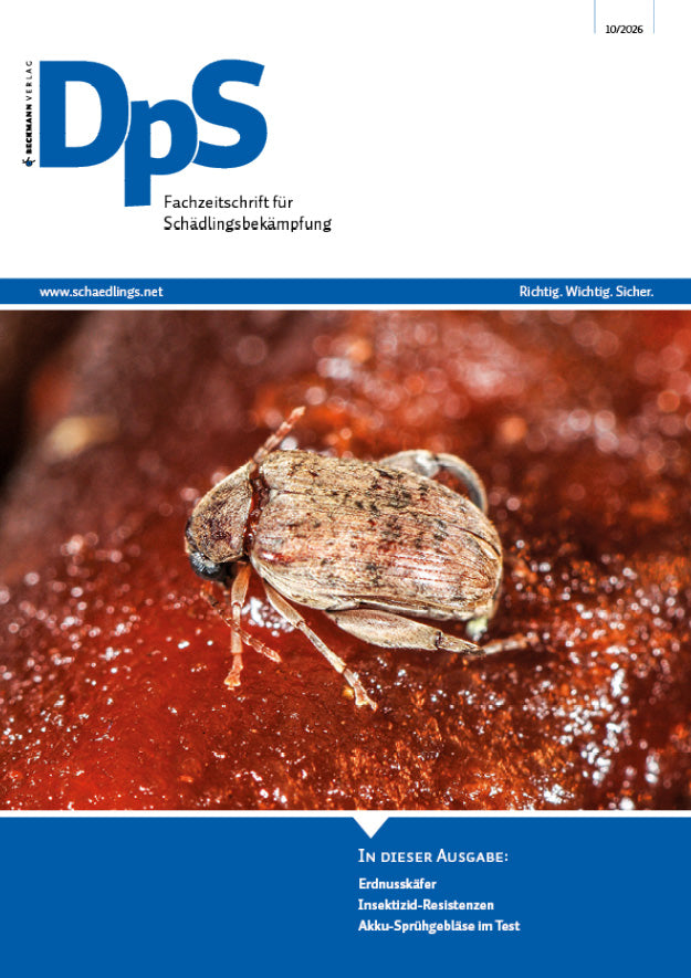 DpS Ausgabe Oktober 2026