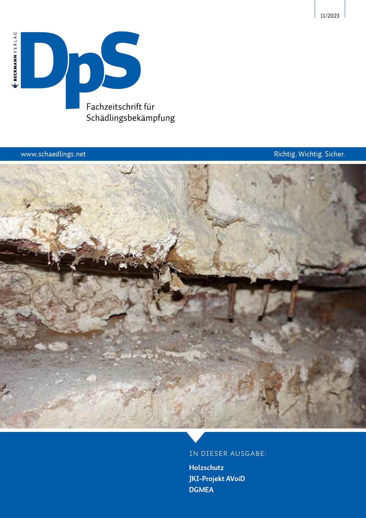 DpS Ausgabe November 2023