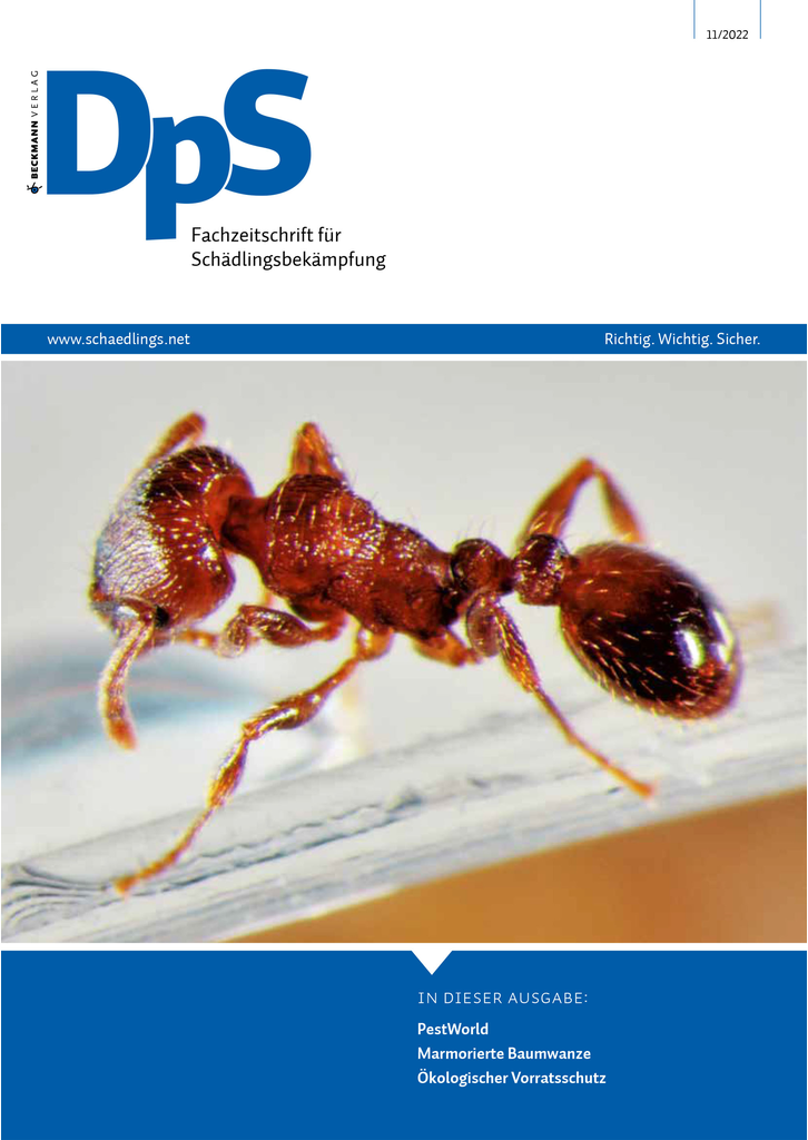 DPS, DIGITALE AUSGABE NOVEMBER 2022